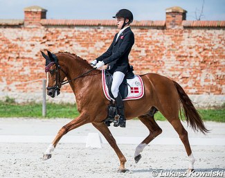 Alexander Yde Helgstrand and Adriano B at the 2019 European Pony Championships :: Photo © Lukasz Kowalski
