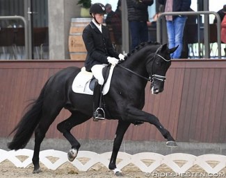 Thomas Sigtenbjerggaard on Kardieno at the 2019 Danish Young Horse Championships :: Photo © Ridehesten