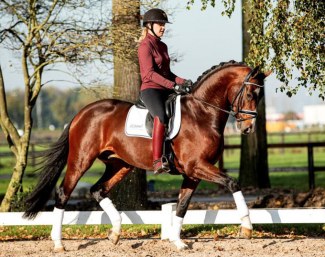 Kaiser DVB (by De Niro x Johnson x Ulft)