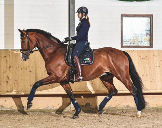 Dorothee Schneider on Liliano OLD: a photo of a young horse in the desired frame with the rider with a relaxed leg position that allows for the movement to flow :: Photo © Jan Reumann