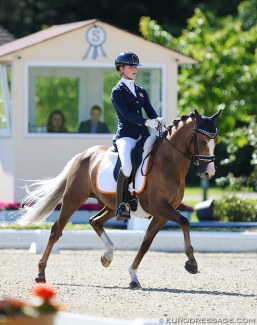Robin Heiden and Colourfull Cannonball at the 2019 CDIO-P Hagen :: Photo © Astrid Appels