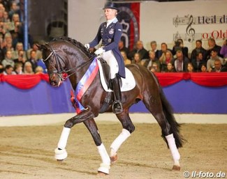 For Romance I, VTV Oldenburg Dressage Stallion of the Year 2019 :: Photo © LL-foto