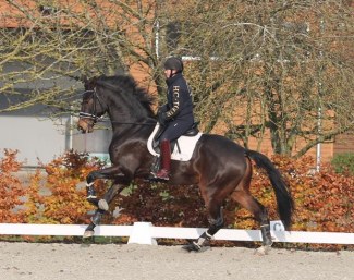 HP Versaille (by Vivaldi x Sandro Hit x Akzent II)