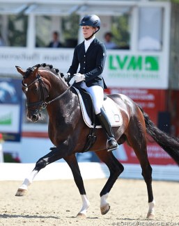 Beatrice Buchwald and Den Haag at the 2014 World Young Horse Championships in Verden :: Photo © Astrid Appels