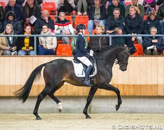 Kil Noordijk on Liverpool (by Apache x Ferro) at the saddle presentation in Ermelo :: Photo © Digishots