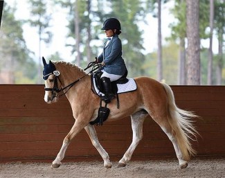 Meghan Benge on Welsh pony Zoey (by The Key x Rhystyd Flyer) :: Photo © Nicole McNally