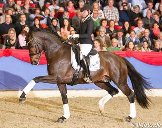 Lisa Wernitznig and Escamillo at the 2019 Oldenburg stallion parade in Vechta :: Photo © LL-foto