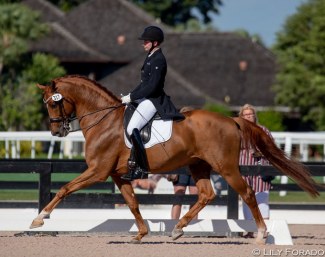 Kevin Kohmann aboard Olga Ozerova-Hartsock's Five Star at the 2020 CDN Wellington :: Photo © Lily Forado