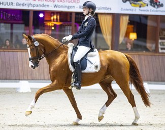 Tropensonne (by Totilas) at the 2019 CDI Exloo