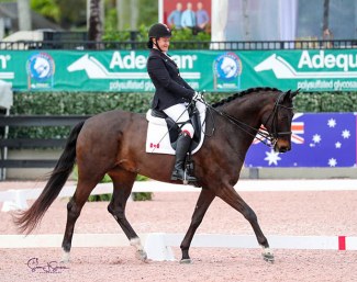 Canadian Paralympian Lauren Barwick of Reddick, FL, brought Sandrino all the way to the FEI level after less than two months of training as a para-dressage mount :: Photo © Sue Stickle