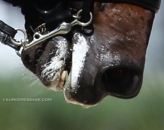 White sugar paste spread widely over a horse's lips :: Photo © Astrid Appels