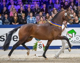 Monte Carlo (by Dream Boy x United x Jazz) :: Photo © Dirk Caremans
