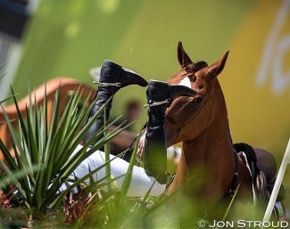 Life with horses has been turned upside down due to the corona pandemic :: Photo © Jon Stroud