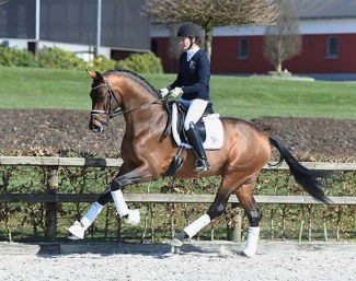 Blue Hors Viconte (by Vivaldi out of Poetin VI)