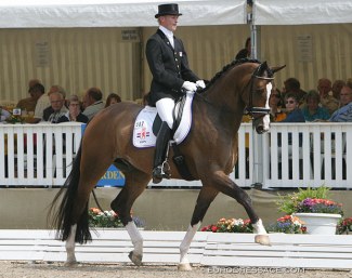 This is one of the young horses that competed at the 2005 World Young Horse Championships and became a Grand Prix horse later on :: Photo © Astrid Appels