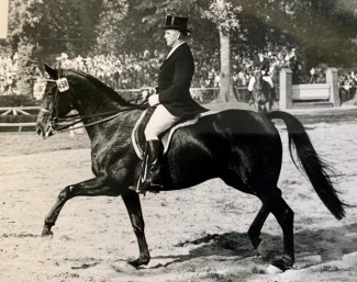 The thoroughbred Chronist xx with his usual rider Willi Schultheis in the early 1950s. Because Schultheis was a professional, jumping legend Fritz Thiedemann rode him on the German dressage team at the 1952 Olympic Games :: Photo courtesy Katharina Schultheis