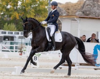 Juan Matute Guimon and Copernico TM at the 2018 Spanish Developing PSG Horse Championships :: Photo © Lily Forado