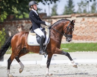 My Sandgren and Twenty Two at the 2019 European Pony Championships