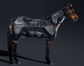 Muscle Therapy Equine