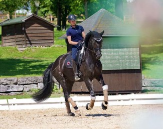 Jessica von Bredow-Werndl purchased Forsazza de Malleret as her own future Grand Prix hopeful :: Photo © Flora Keller
