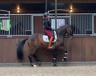 Kingston (by Apache x Diamond Hit) - clear talent for Grand Prix