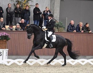 Mandela (by Blue Hors Zack x Furstenball)