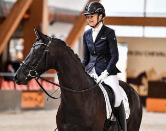 Harpège Grez Neuville (by Danciano x Gribaldi) became the 3-year old French Mare Champion under Jessica Michel-Botton :: Photo © Les Gareness