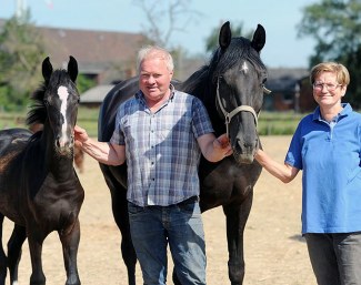 Highly decorated Westfalian horse and pony breeder Alfons Baumann is holding a Yard Auction on 12 September 2020 :: Photo © Thoms Lehmann