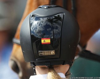 Palm Trees of the Wellington show arena reflected in helmet :: Photo © Astrid Appels