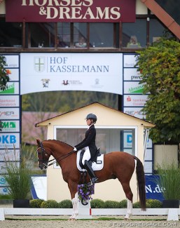Rebecca Williams-O’Brien and Hollingrove Dazzler competing at the 2020 CDI Hagen at Hof Kasselmann :: Photo © Astrid Appels