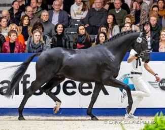 More Legends (by Four Legends KS x Fürstenball) :: Photo © Dirk Caremans