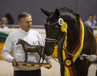 Impressive athlete, important model mare – all this is the Mare of the Year, Helene with owner Helmar Bescht at her side :: Foto © Stefan Lafrentz)