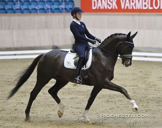 Nanna Skodborg Merrald and Blue Hors Touch of Olympic (by Don Olympic x Fidermark) at the Danish WCYH selection trial in Vilhelmsborg :: Photo © Ridehesten
