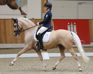 Rohlsdorfs Carribean Dream :: Photos © Pony Royal