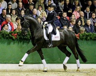 Faustinus at the 2018 Gestut Sprehe Stallion Show in Vechta :: Photo © Petra Kerschbaum