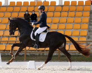 Yoann Pinto and Rolex DP at the 2020 Portuguese Young Horse Championships :: Photo © Rui Pedro Godinho