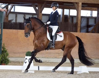 Maria Caetano and 6-year old Lusitano stallion Jasmim Plus are on their way to Verden :: Photo © Alfonso Rodrigues 