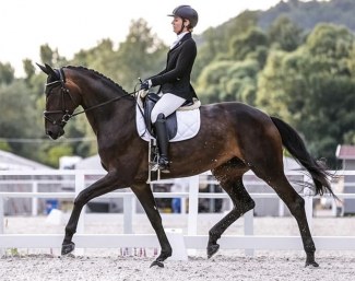 Gabriella Tecsy Papp and Barrosa Noir at the 2020 CDI Budapest-Pilisjaszfalu :: Photo © Anett Somogyvari