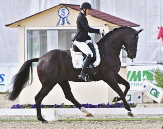 Dries van Dyck and Saint Etienne at the 2020 CDI Hagen :: Photo © Ruchel