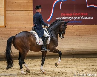 Sascha Schulz on his new Grand Prix horse, the Chinese owner Dayman, at the 2020 Luxembourg Dressage Championships :: Photo © Emile Mentz