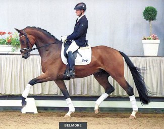 Belmore (by Belissimo M x Fidertanz)