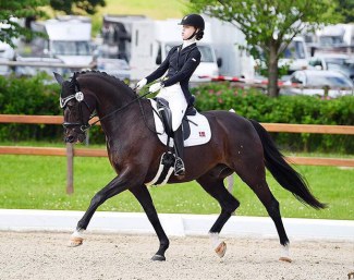 Aros A Fenris at the 2019 CDIO-CHPJYR Hagen in Germany :: Photo © Ruchel