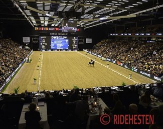 Dressage at the Danish Warmblood Stallion Licensing in Herning :: Photo © Ridehesten