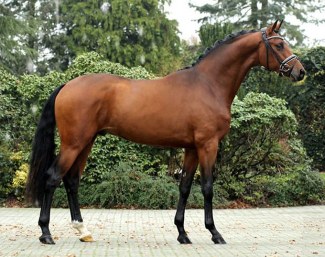 Woodlander Fort Worth, renamed For Kingdom