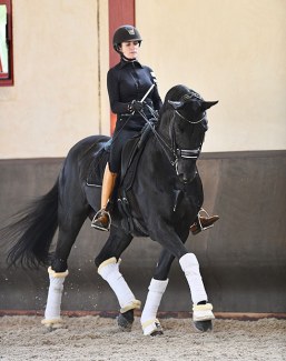Claudia Chauchard Heads CC Stable near Paris, France