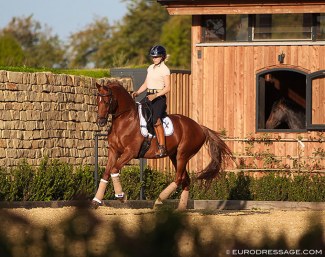 Terhi Stegars and Eddox (by Gribaldi x Ferro) at the Contern Dressage Center in Luxembourg :: Photo © Astrid Appels