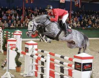 Gestut Sprehe's jumper stallion Hickstead White