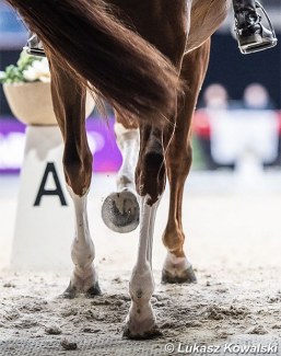 Dressage legs at the 2021 CDI-W Salzburg :: Photo © Lukasz Kowalski