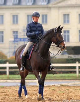 Christian Carde re-training Milady (by De Niro) in 2017 :: Photo © Silke Rottermann