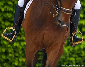 Aligning the foot, knee and hip joint is something to keep in mind. It is visually appealing, classically correct and will protect your joints over time. This rider is deviating from this, but no one is perfect :: Photo © Astrid Appels